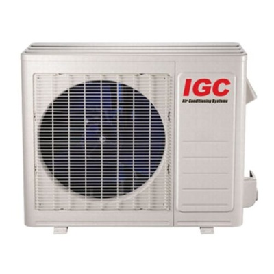 igc-idxx-2